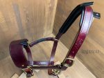 brown horse halter