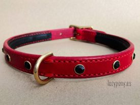 collar flower for small dogs