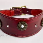 hound collar with conchos Lazypony