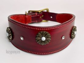 galgo collar