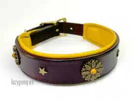 dog collar with conchos