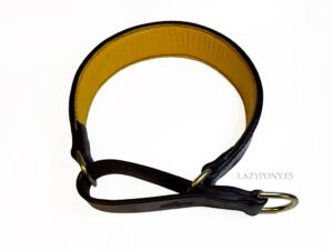 padded leather martingale collar Lazypony
