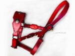 red baroque leather horse halter Lazypony with conchos