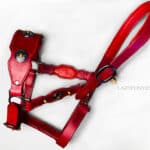 red baroque leather horse halter Lazypony with conchos