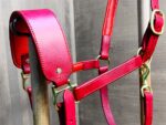 Red Leather halter Lazypony with brass fittings