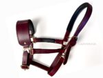 Burgundy Leather horse halter Lazypony