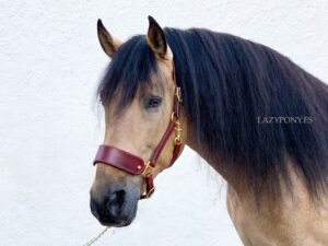 Leather halter Lazypony, handmade horse headcollar
