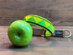 Martingale сollar Green Apple