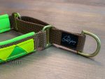 Martingale сollar Green Apple