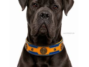 heavy duty custom leather dog collar lazypony
