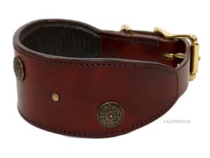 leather greyhound collar with name tag Lazypony