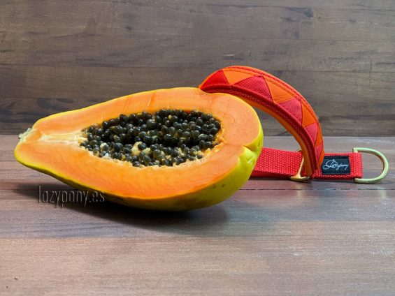 Martingale сollar Papaya
