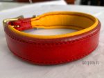 padded dog collar