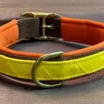 yellow nylon dog collar Lazypony