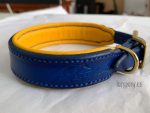 padded dog collar