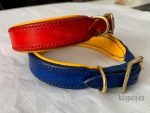 padded dog collar