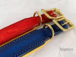 padded dog collar