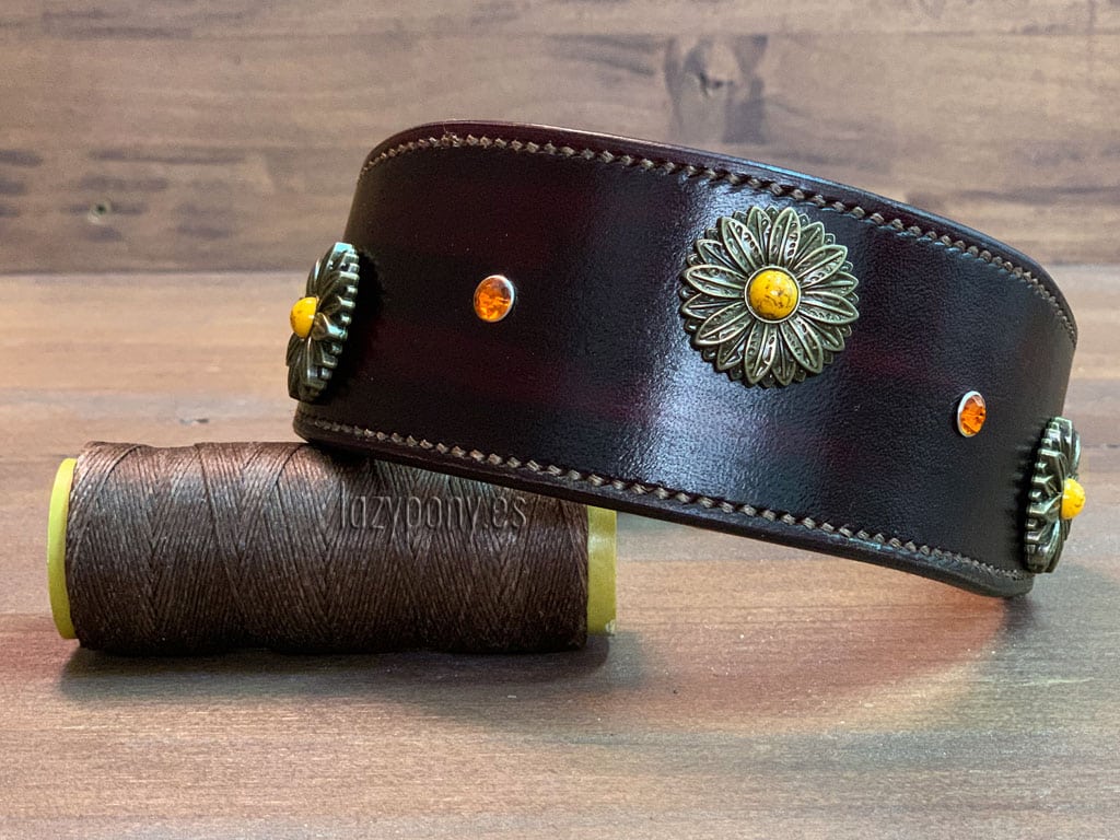 Brown hound collar with conchos