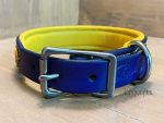 leather dog collar