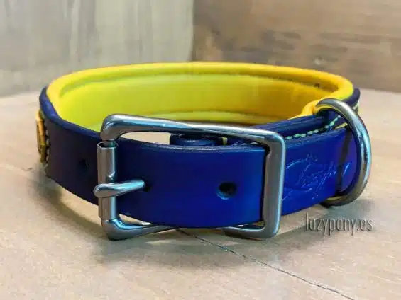 leather dog collar