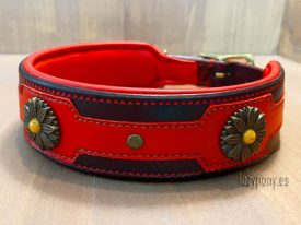 leather dog collar