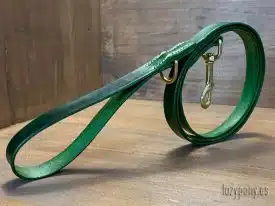 dog leash
