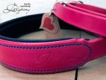 padded dog collar