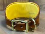 leather dog hound collar