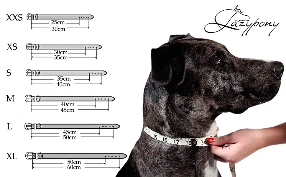 Dog distance clearance collar