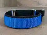 dog collar