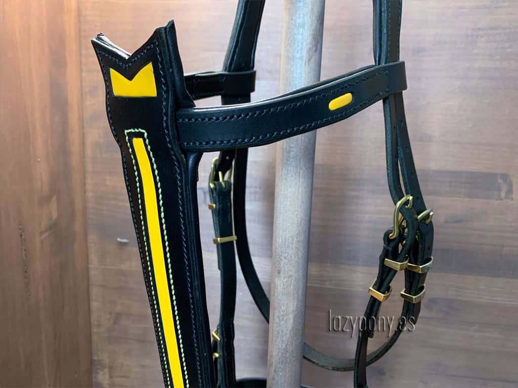 horse bridle