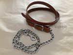 horse lead with chain