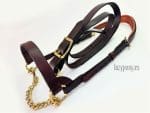 show halter Lazypony