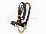 Brown Leather Show halter Lazypony with chain leadrope