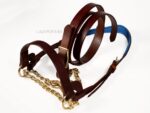 Brown and Blue Leather Show halter Lazypony