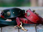 hound collar