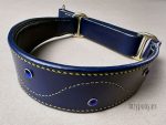 hound collar