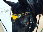 baroque browband