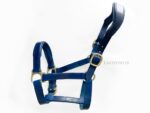 Blue Anatomical leather halter Lazypony, horse headcollar with two buckles