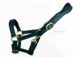 Green leather halter Lazypony with two buckles