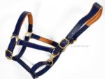 Blue anatomical leather halter Lazypony with two buckles