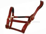 Orange anatomical leather halter Lazypony, horse headcollar with two buckles