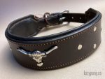 wide dog collar