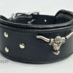 wide dog collar with concho