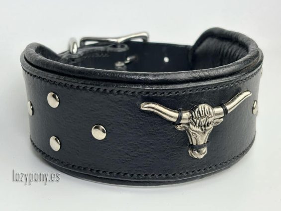 wide dog collar with concho