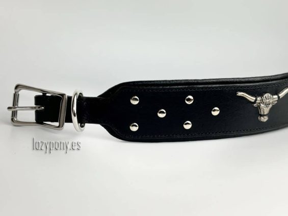 wide dog collar with concho