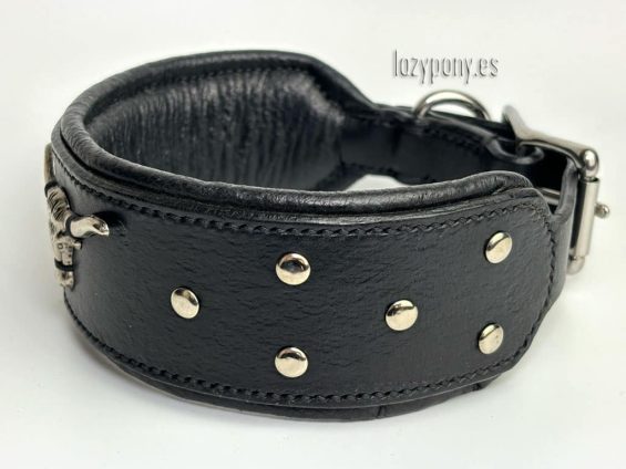 wide dog collar with concho