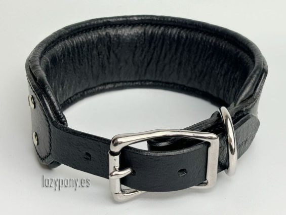 wide dog collar with concho