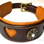 wide leather collar Lazypony
