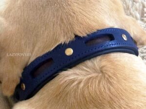 Padded leather collar Lazypony, personalized handmade collar
